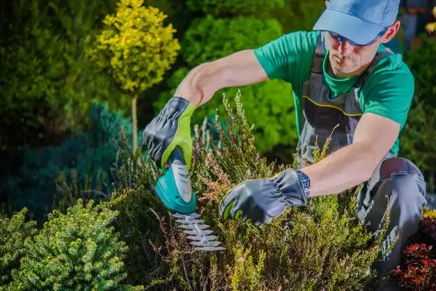 landscaping services Itta Bena